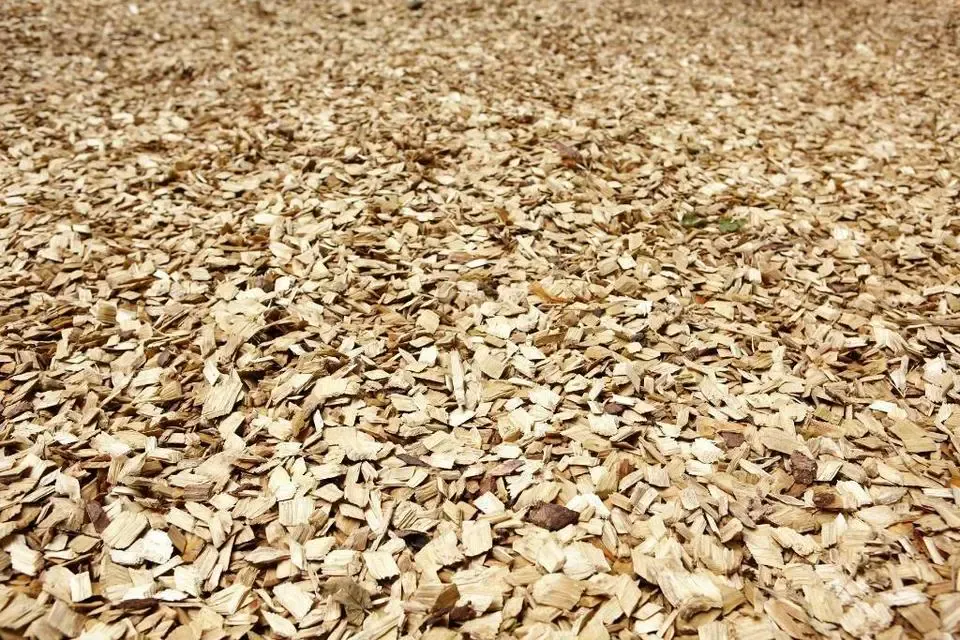 Holzhackschnitzel 5-50 mm