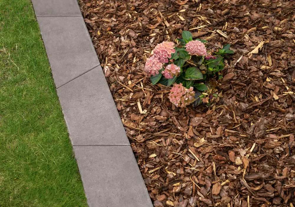 DIEPHAUS MÄHKANTE TRAPEZ GRAU 24/12/4 CM